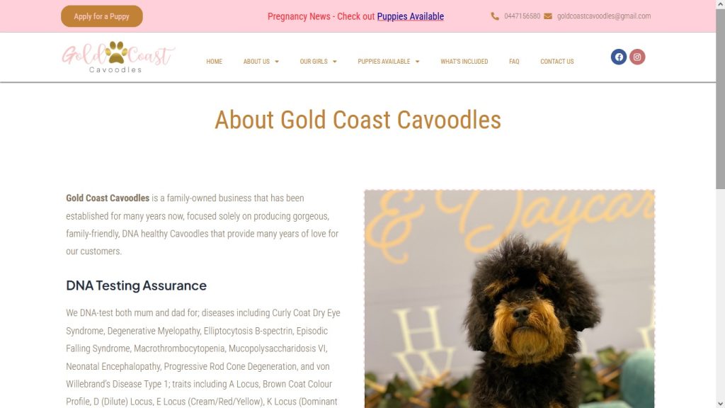 gold coast website design