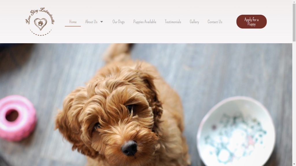 tamworth website design