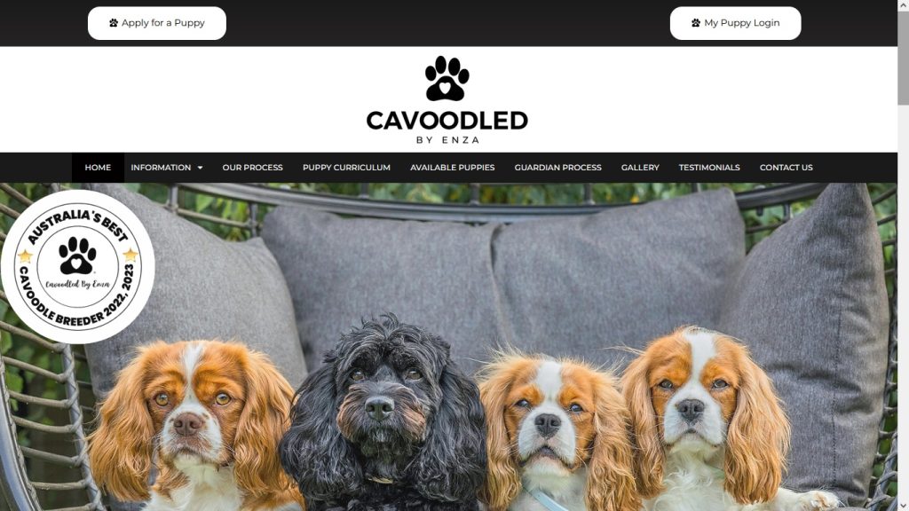 victoria website design australia